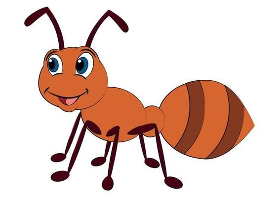 Ant