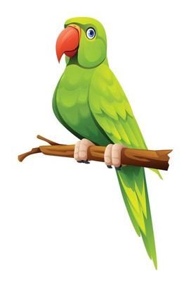 Parrot