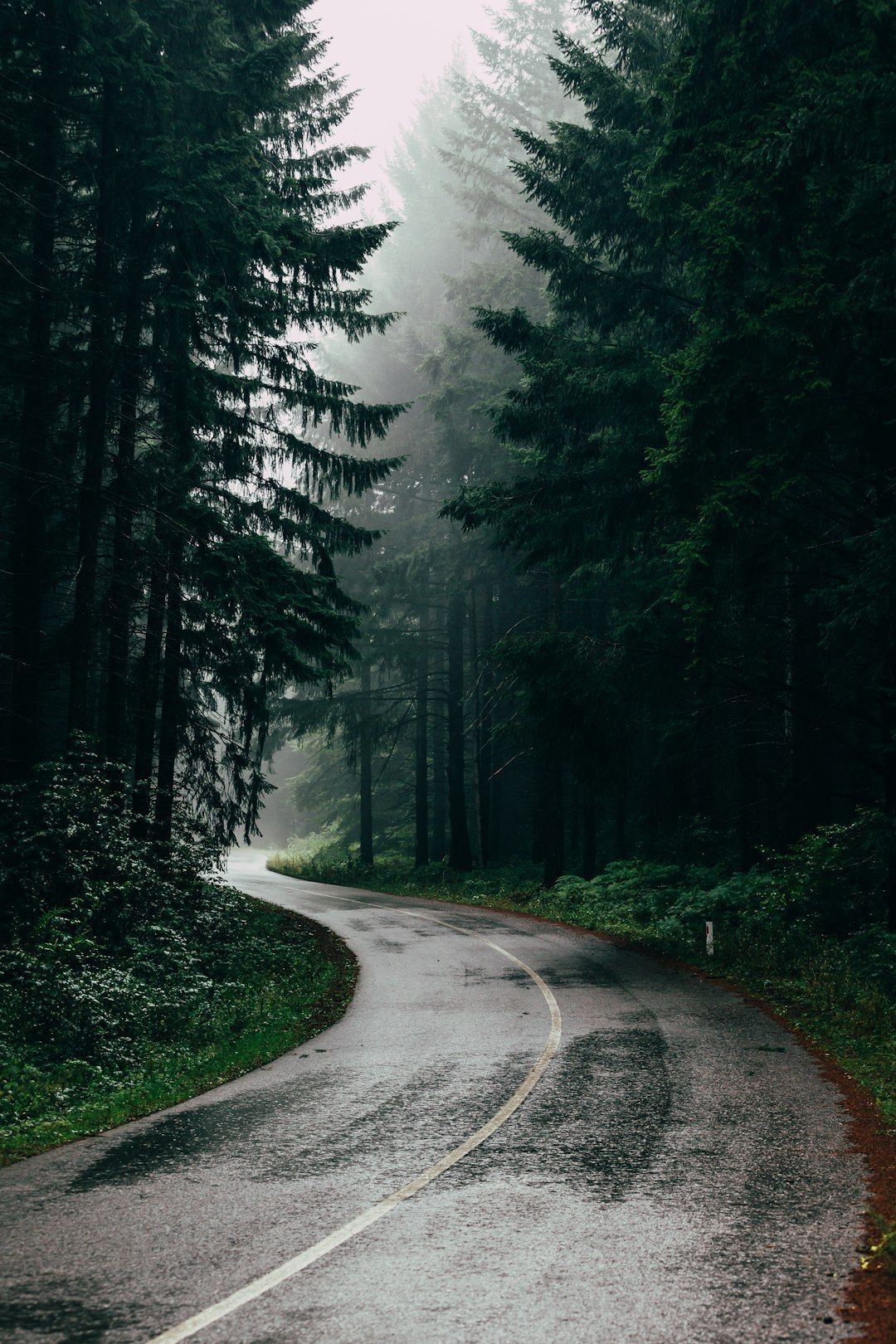 Rain