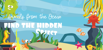 Ocean Hide